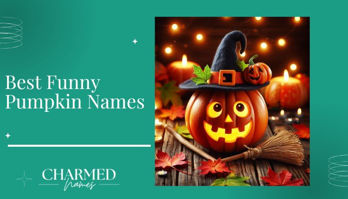 Best Funny Pumpkin Names