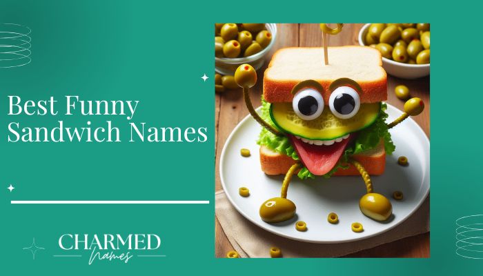 Best Funny Sandwich Names