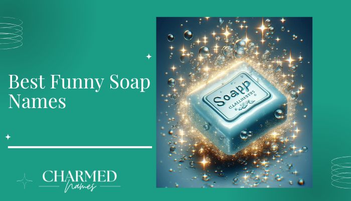 Best Funny Soap Names