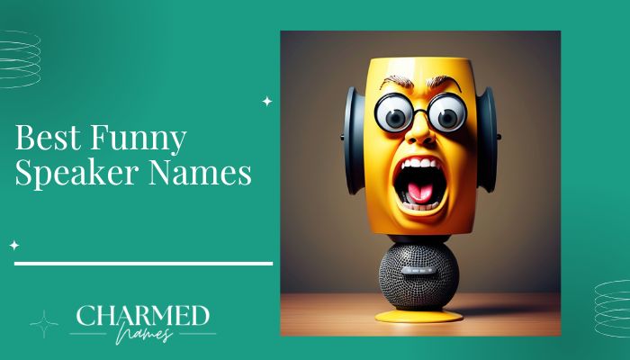Best Funny Speaker Names