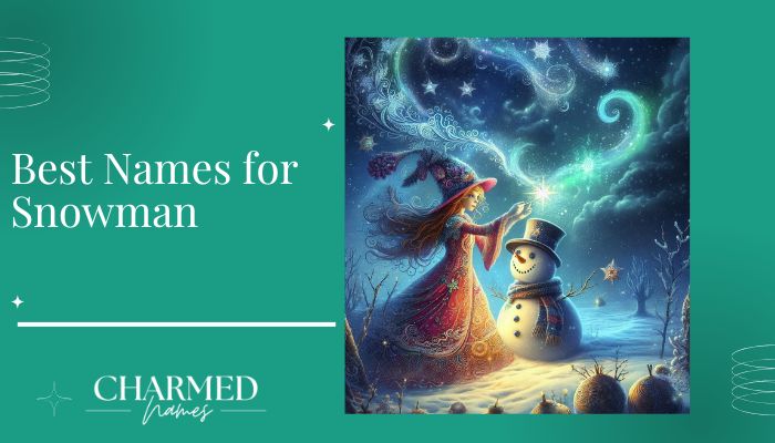 Best Names for Snowman