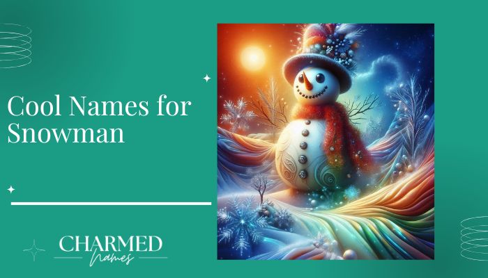 Cool Names for Snowman