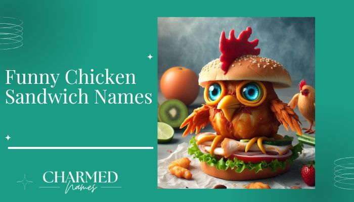 Funny Chicken Sandwich Names