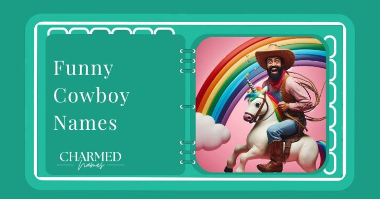 funny cowboy