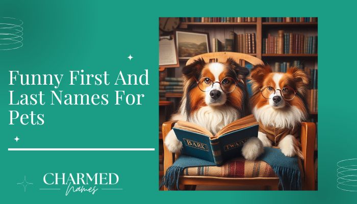 Funny First And Last Names For Pets