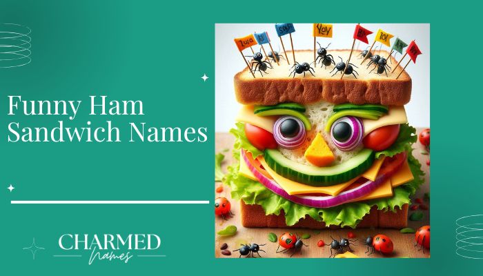 Funny Ham Sandwich Names