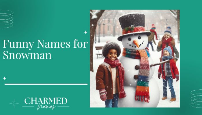 Funny Names for Snowman