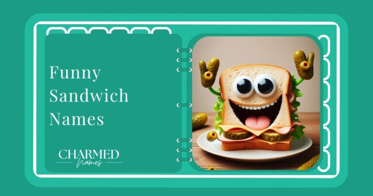 Funny Sandwich Names