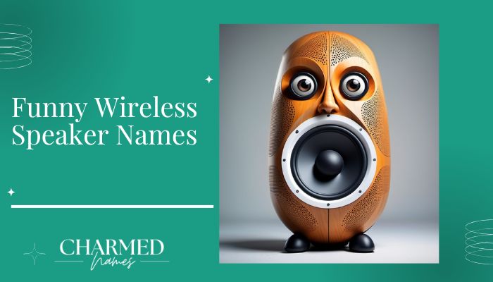 Funny Wireless Speaker Names