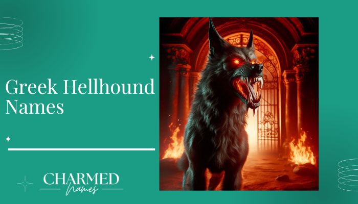 Greek Hellhound Names