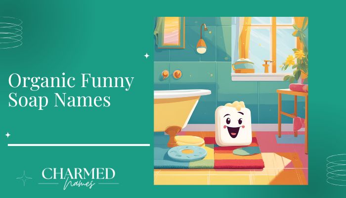 Organic Funny Soap Names