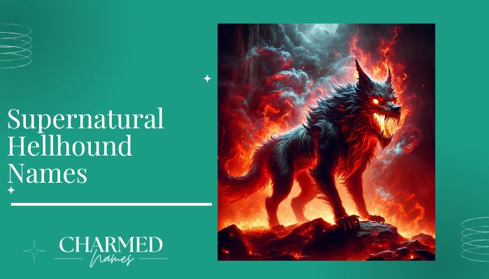 Supernatural Hellhound Names