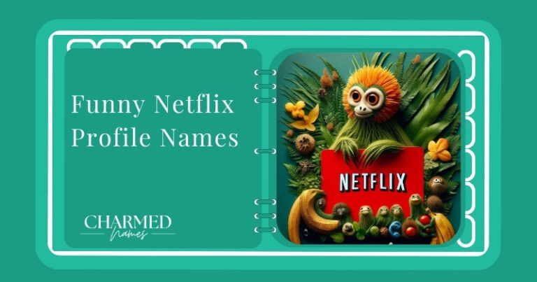 Funny Netflix Profile Names