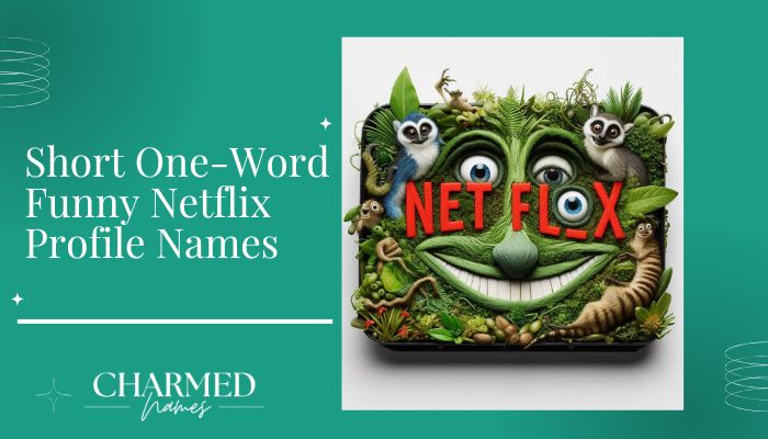 Short One-Word Funny Netflix Profile Names