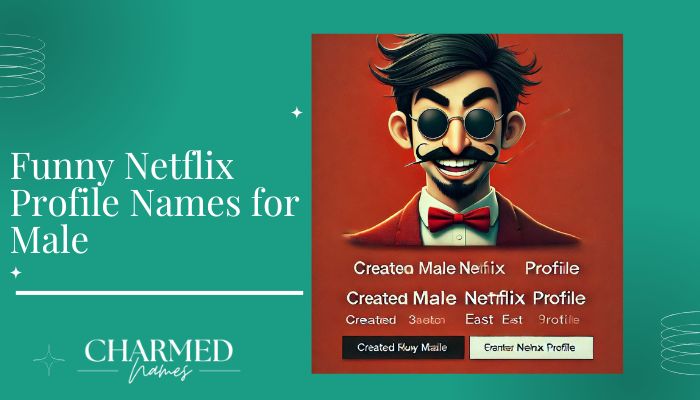 Funny Netflix Profile Names for Male