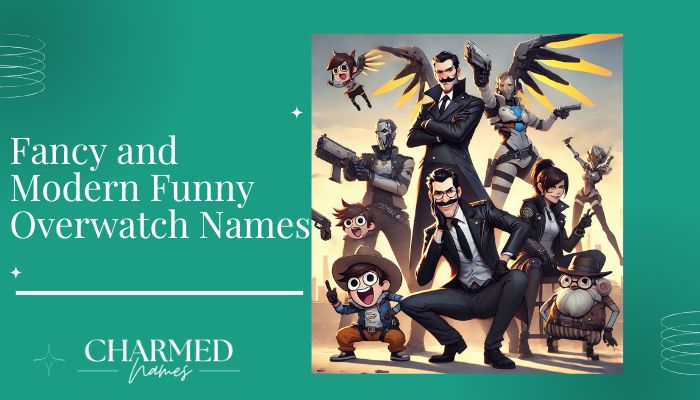 Fancy and Modern Funny Overwatch Names