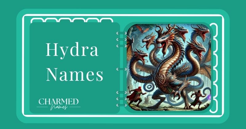 Hydra Names