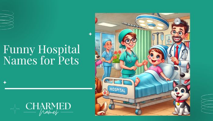 Funny Hospital Names for Pets
