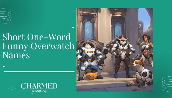 Short One-Word Funny Overwatch Names