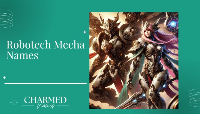 Robotech Mecha Names