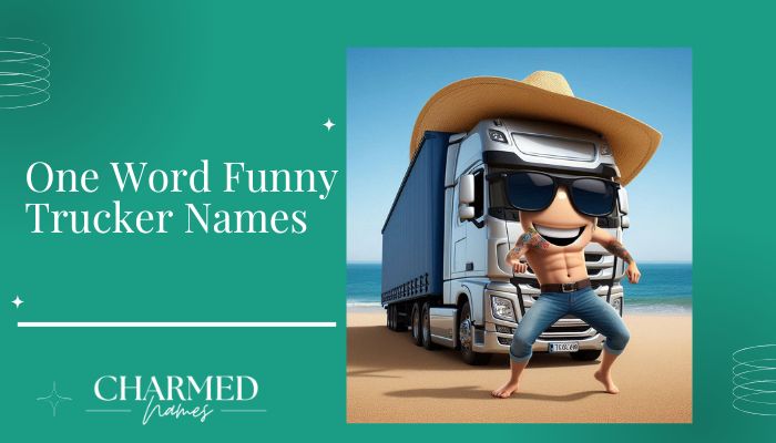 One Word Funny Trucker Names