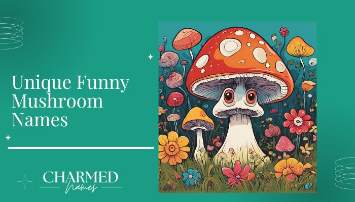 Unique Funny Mushroom Names