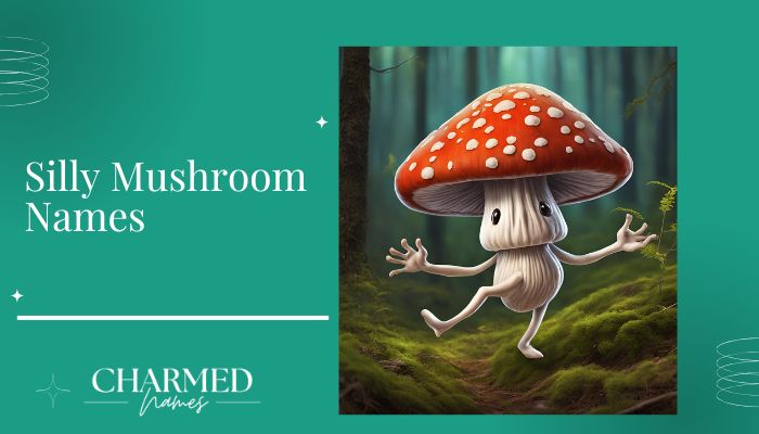 Silly Mushroom Names