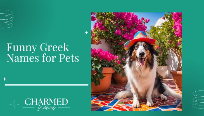 Funny Greek Names for Pets