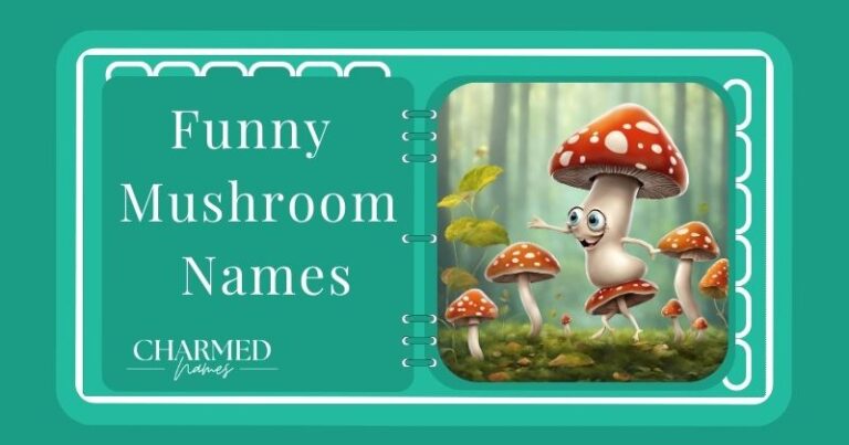 Funny Mushroom Names